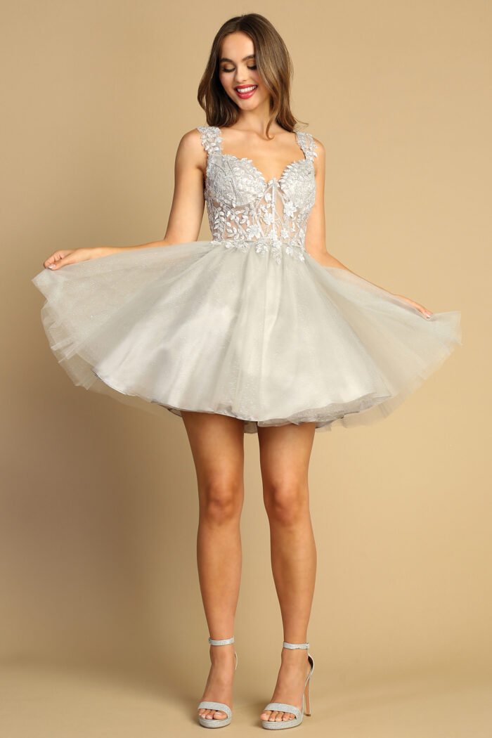 EMBROIDERED SHORT SHEER CORSET A-LINE DRESS - Image 7